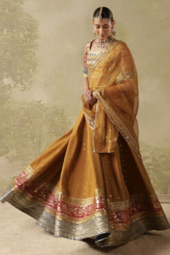 Alternative view of Gold Leaf Lehnga Choli