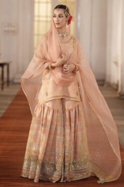 Alternative view of MultiPrinted Organza Gharara Outfit