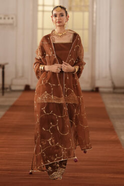 Brown Outfit