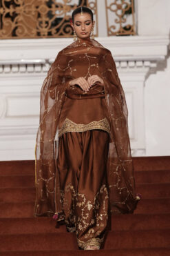 Alternative view of Brown Outfit