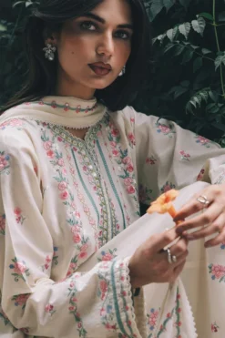 Alternative view of Nargis