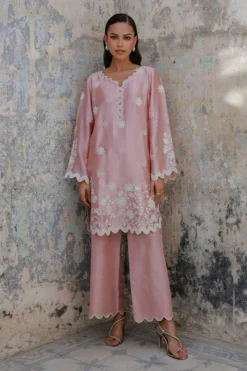 Embroidered CO-ORD Set | 17056/501/442