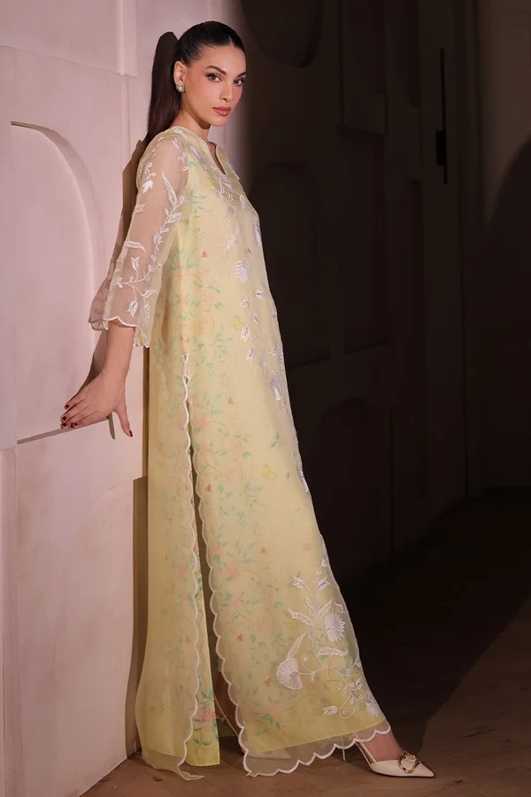 Daffodil - Image 4